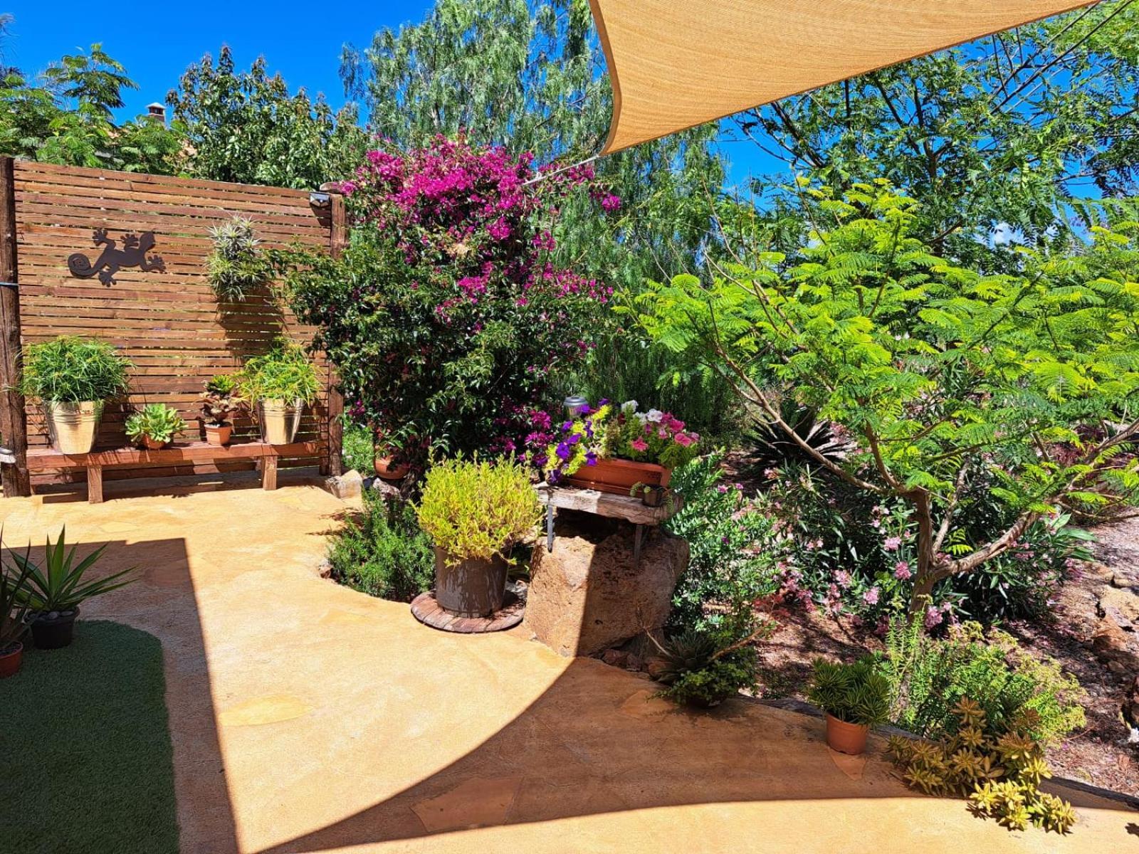 Casa Nogal Apartment Puntagorda Екстериор снимка