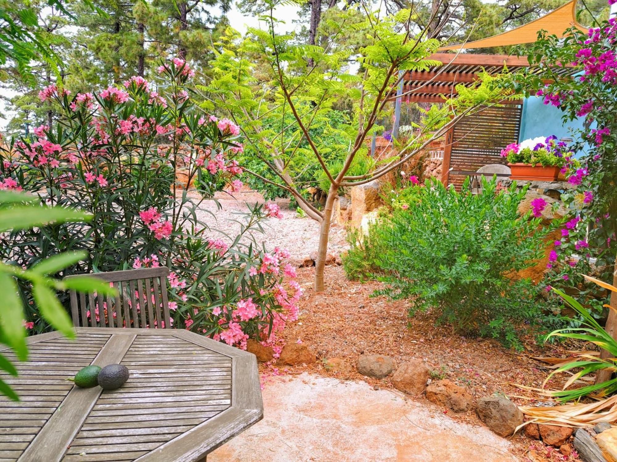 Casa Nogal Apartment Puntagorda Екстериор снимка